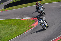 Vintage-motorcycle-club;eventdigitalimages;mallory-park;mallory-park-trackday-photographs;no-limits-trackdays;peter-wileman-photography;trackday-digital-images;trackday-photos;vmcc-festival-1000-bikes-photographs